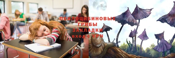 дурь Козловка