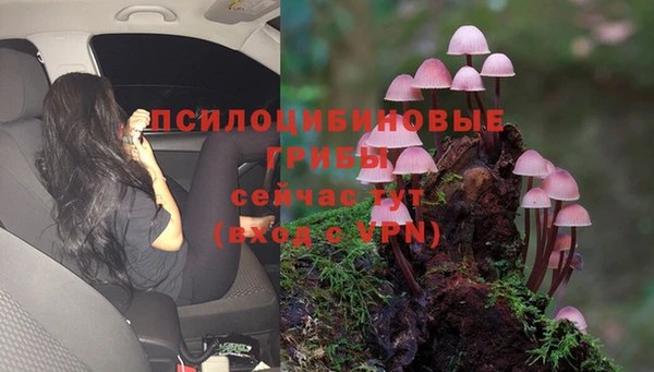 мескалин Козельск
