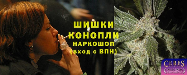гидра Осинники