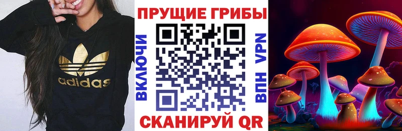 мега онион  даркнет сайт  Ессентуки  Галлюциногенные грибы Psilocybine cubensis 