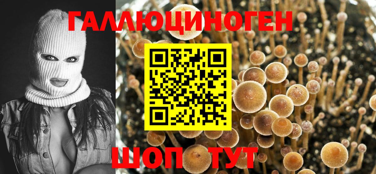 Псилоцибиновые грибы MAGIC MUSHROOMS  Вход с VPN  Ессентуки 