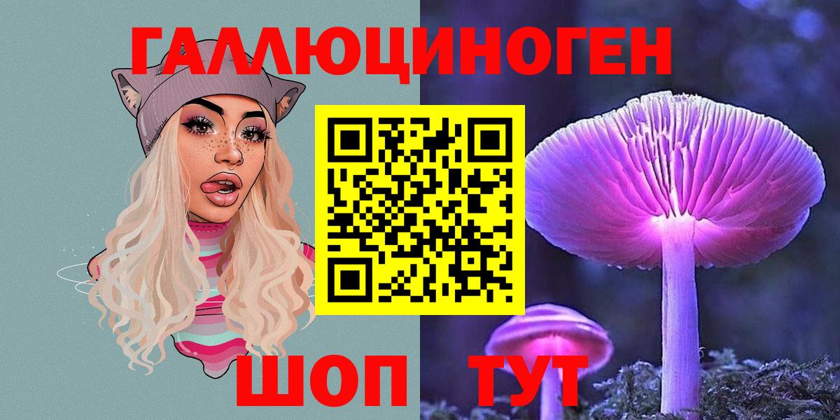 Галлюциногенные грибы Psilocybe Ессентуки