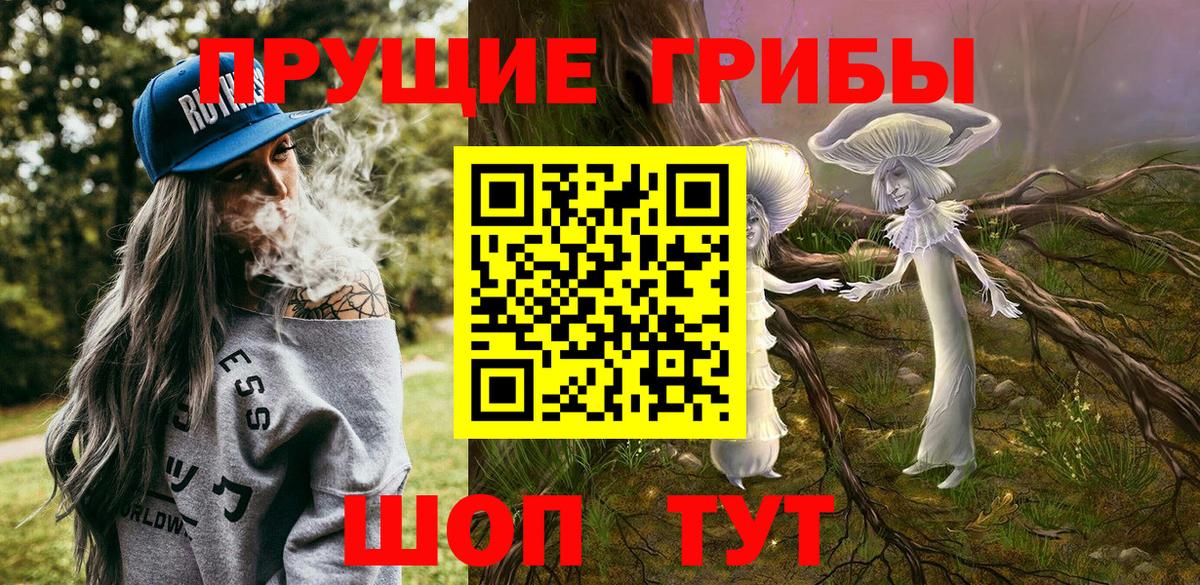 продажа наркотиков  Ессентуки  Галлюциногенные грибы Psilocybine cubensis 